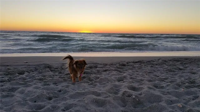 $599,900 | 5832 Semolino Street, Nokomis, FL 34275