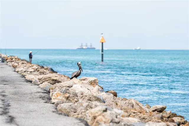 $599,900 | 5832 Semolino Street, Nokomis, FL 34275