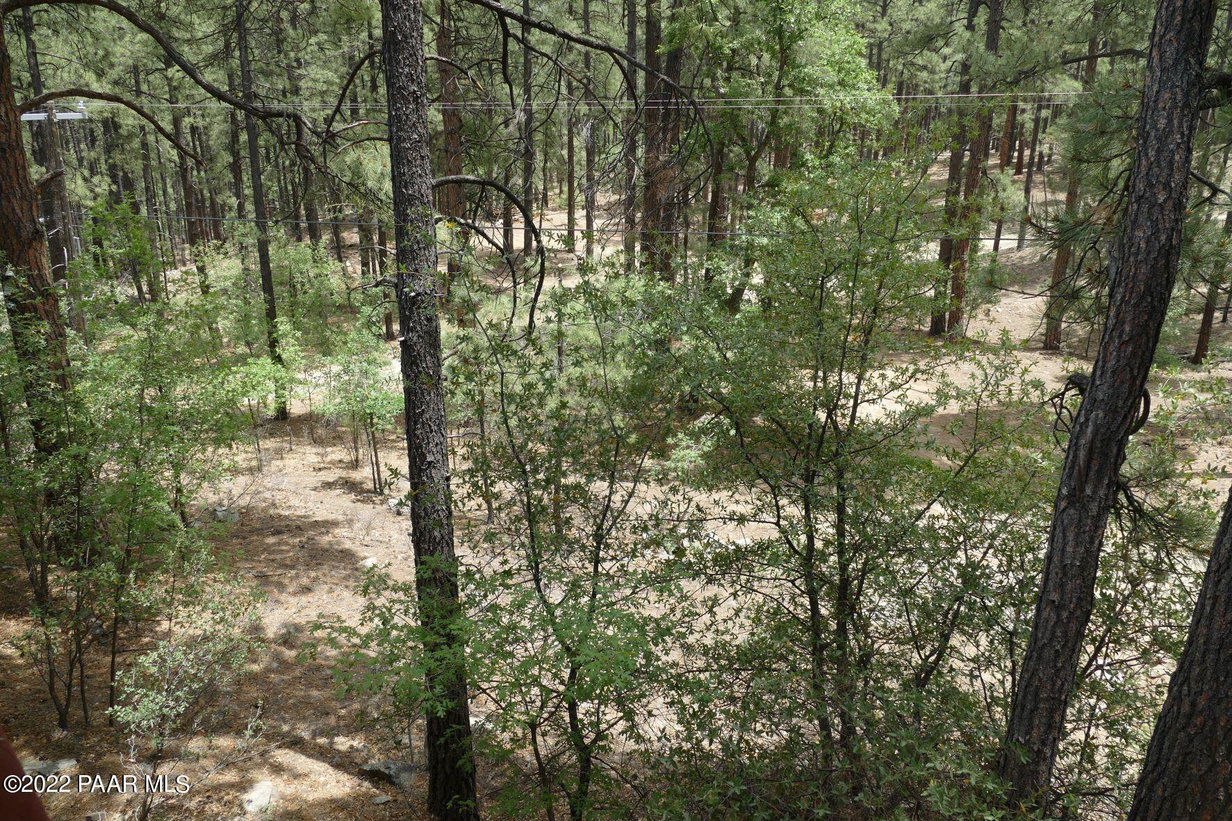 5970 Old Walker Road Prescott, AZ 86303 - Photo 45 of 46 Views
