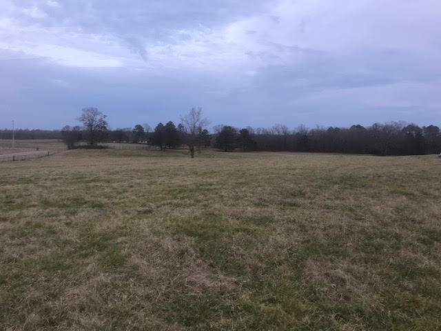 29 Powell Chapel Road Middleton, TN 38052 - Photo 6 of 6 Gallery Image 6
