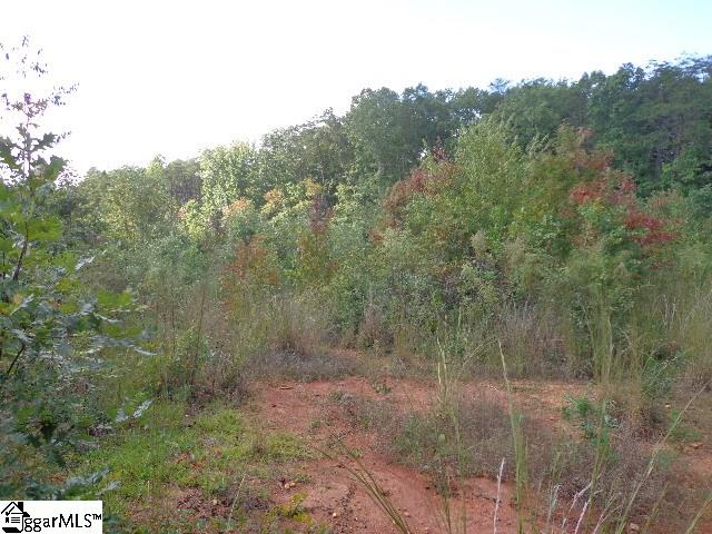 630 Dacusville Road Marietta, SC 29661 - Photo 13 of 14 Gallery Image 13