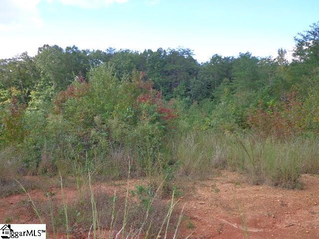 630 Dacusville Road Marietta, SC 29661 - Photo 14 of 14 Gallery Image 14