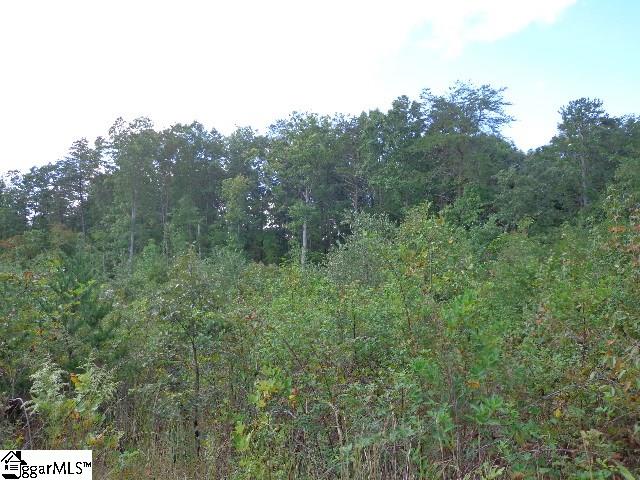 630 Dacusville Road Marietta, SC 29661 - Photo 10 of 14 Gallery Image 10