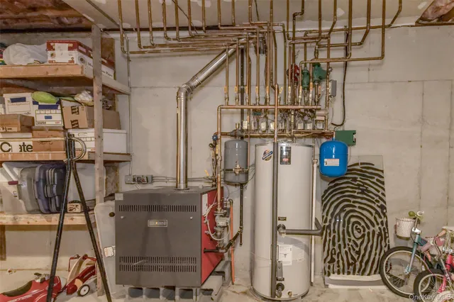 a view of a park that has large trees