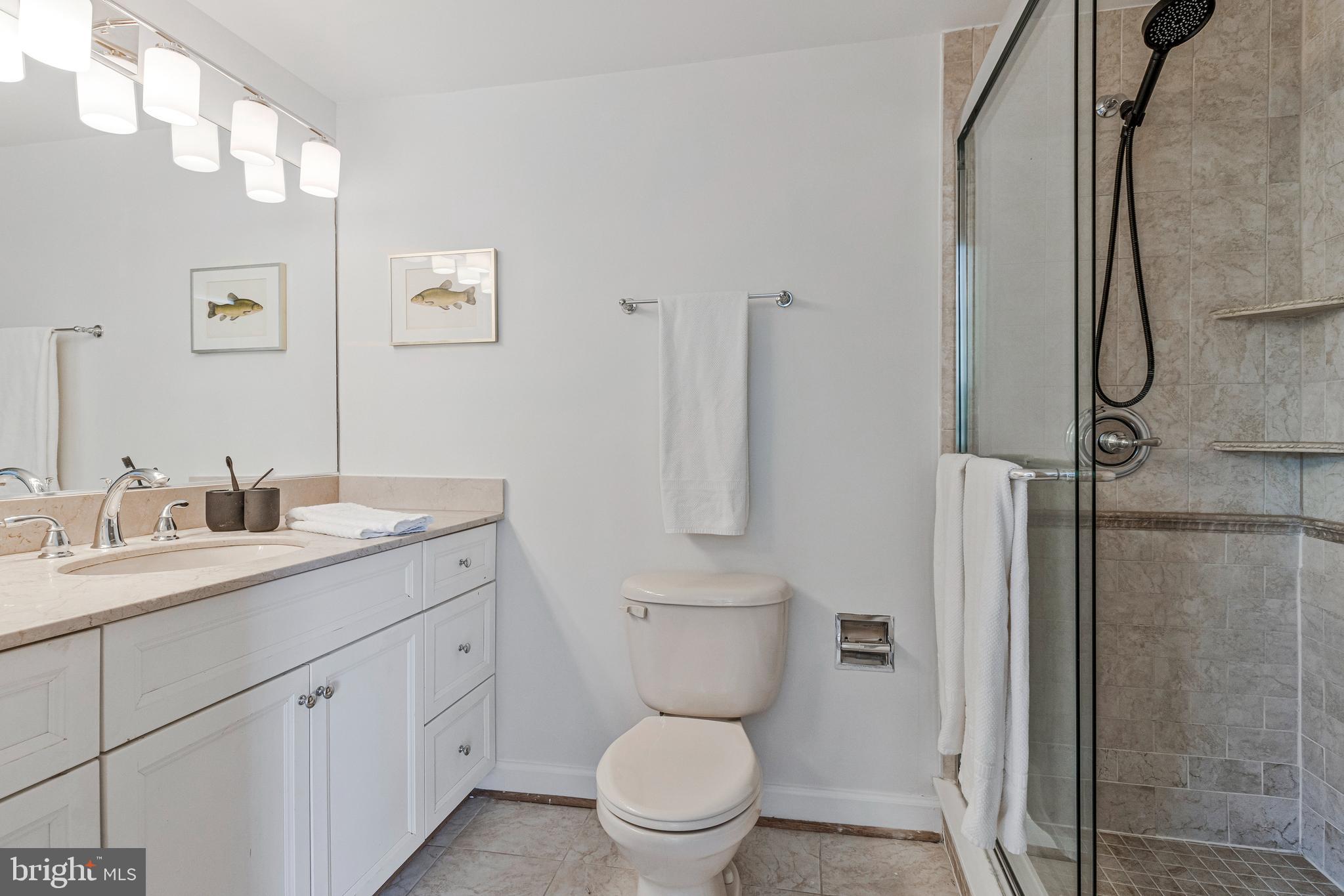 334 E Street Northeast Washington, DC 20002 - Photo 20 of 32 a bathroom with a toilet sink and mirror