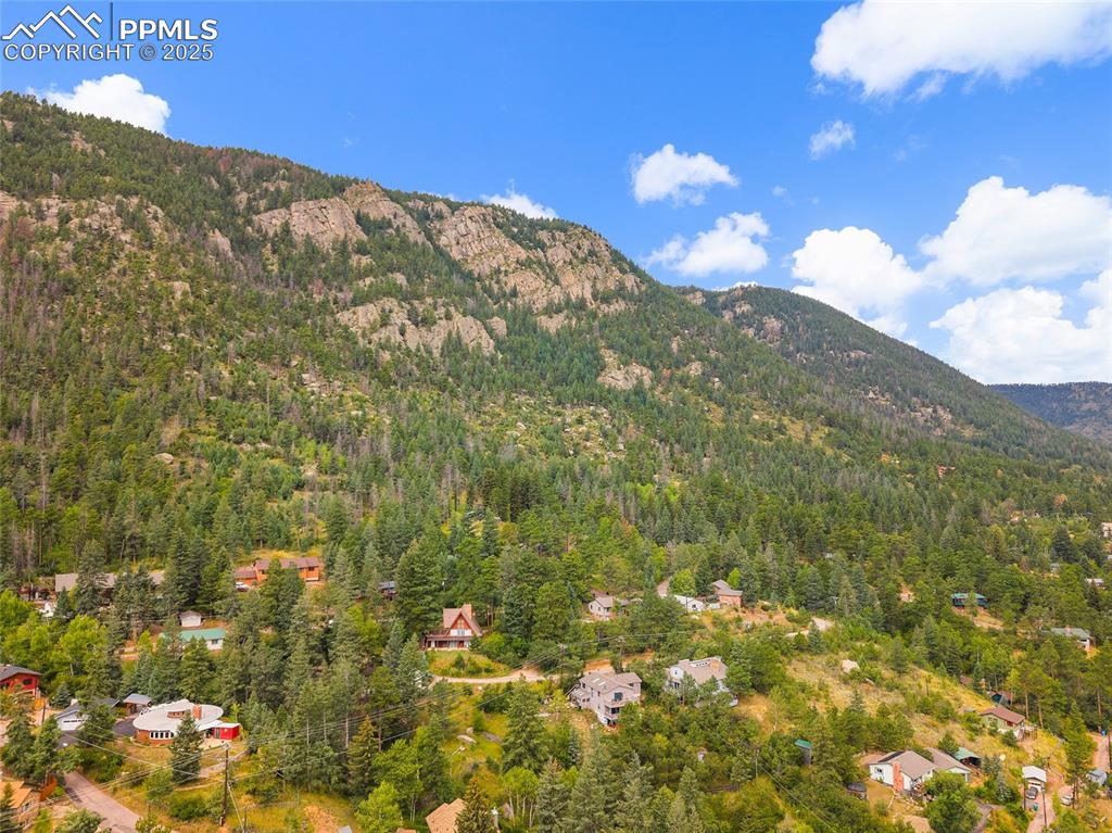 9845 Mesa Road Cascade, CO 80809 - Photo 49 of 50 a view of a bunch of flowers