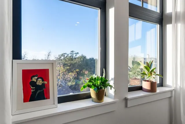 a potted plant sitting on the side of a window