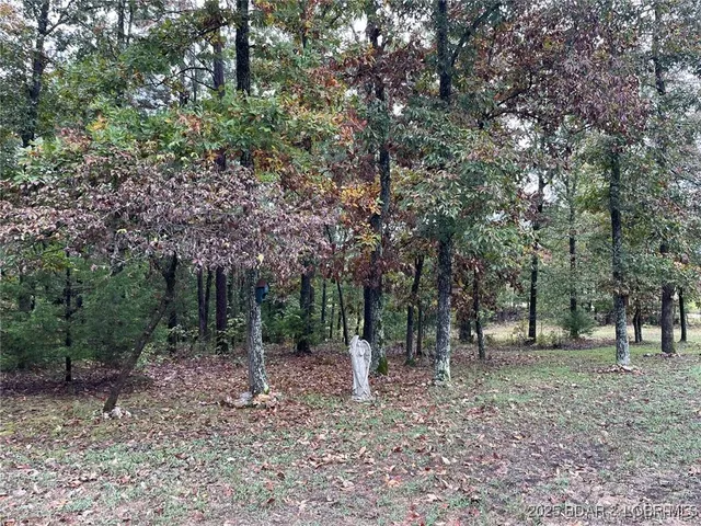 $189,900 | 90 Wayne 364, Piedmont, MO 63957