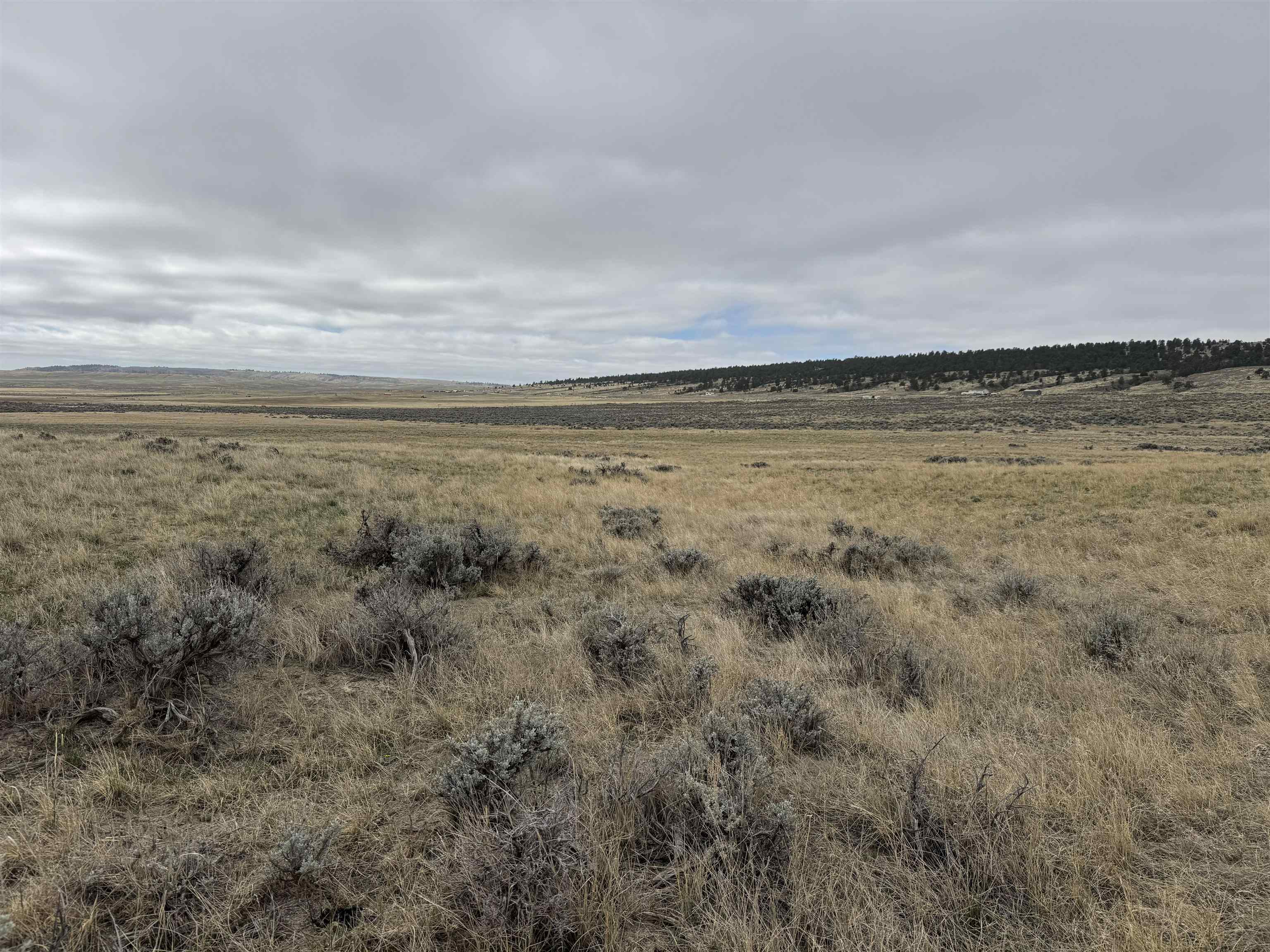 6872 Ranger Road Natrona, WY 82646 - Photo 7 of 18