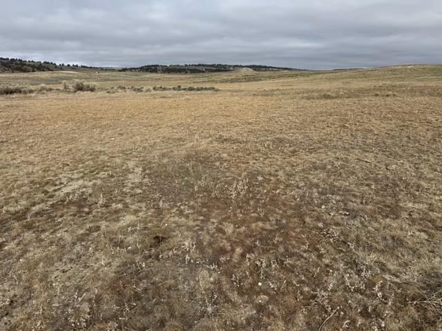 6872 Ranger Road Natrona, WY 82646 - Photo 10 of 18