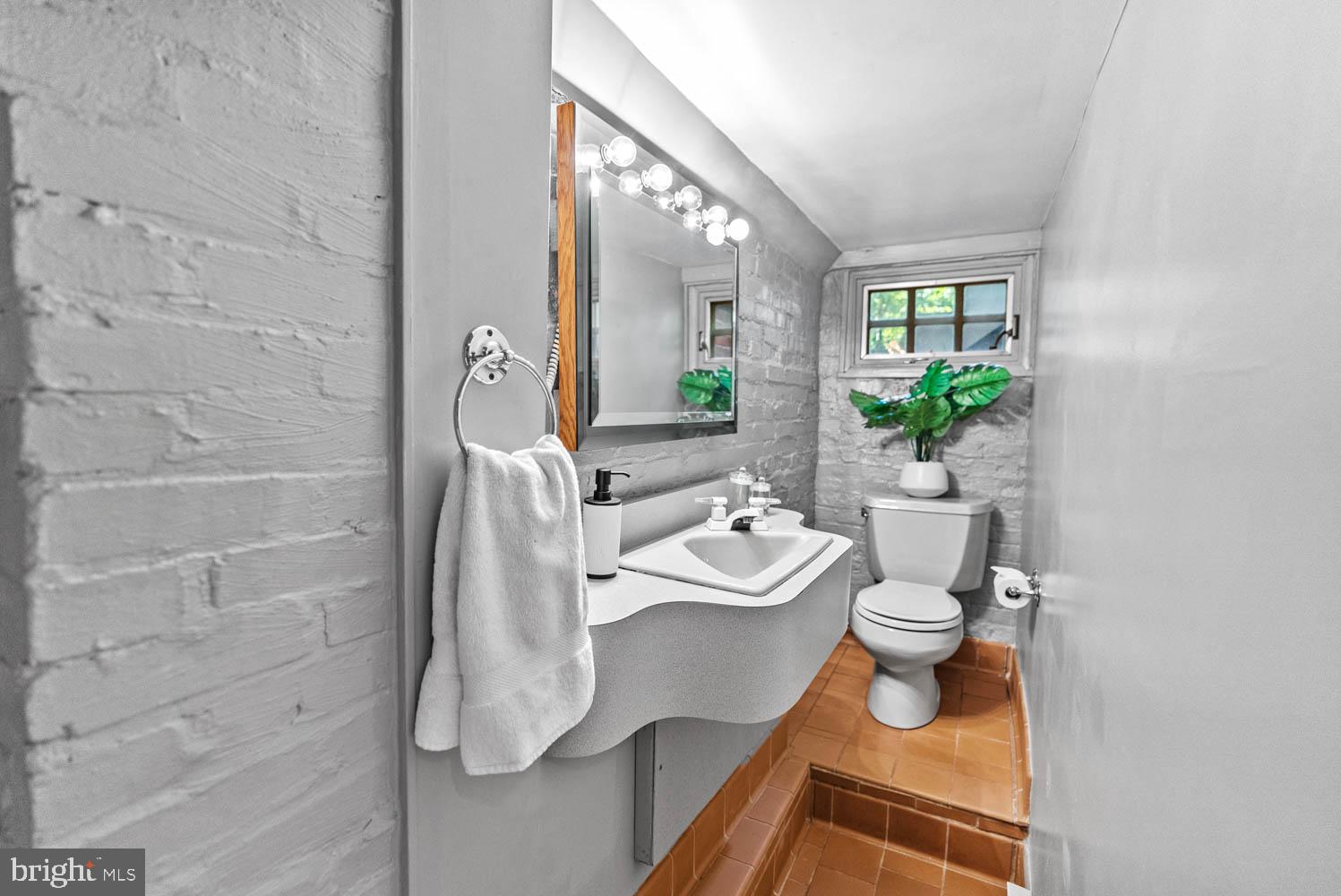 7406 Brookville Road Chevy Chase, MD 20815 - Photo 48 of 72 a living room with furniture and a potted plant