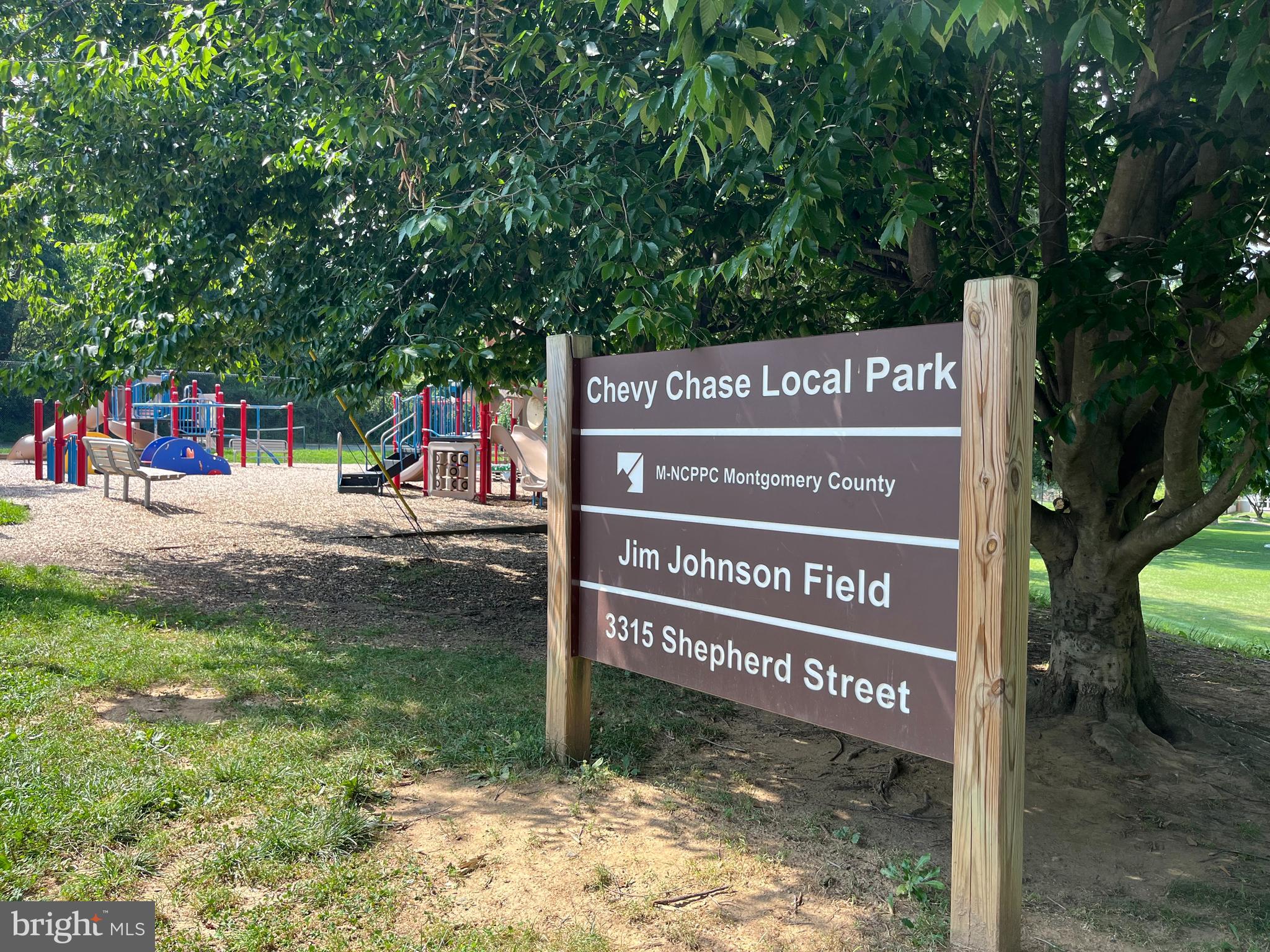 7406 Brookville Road Chevy Chase, MD 20815 - Photo 69 of 72 a view of a street sign under a large tree