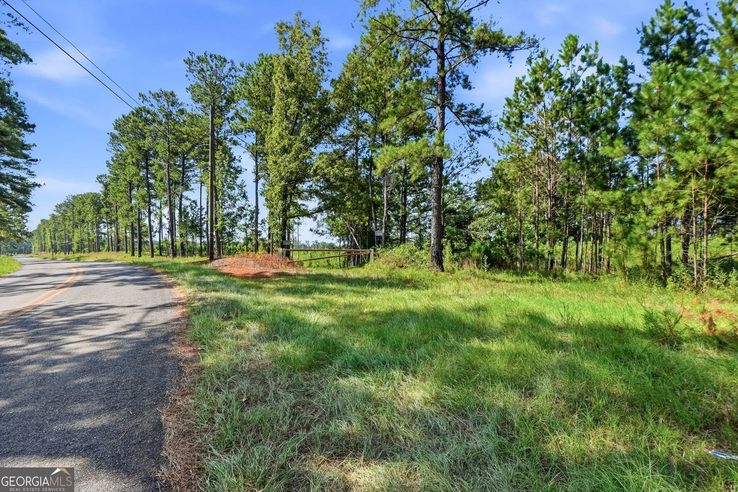 1136 Giles Road Forsyth, GA 31029 - Photo 19 of 28 Gallery Image 19