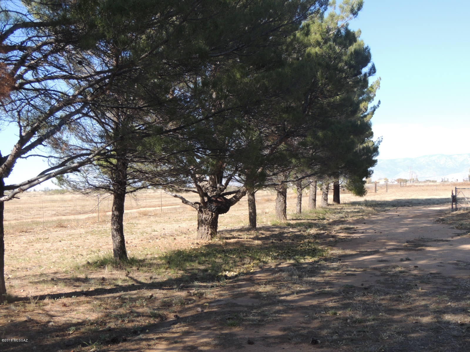8255 Fort Grant Road Willcox, AZ 85643 - Photo 14 of 50 Gallery Image 14