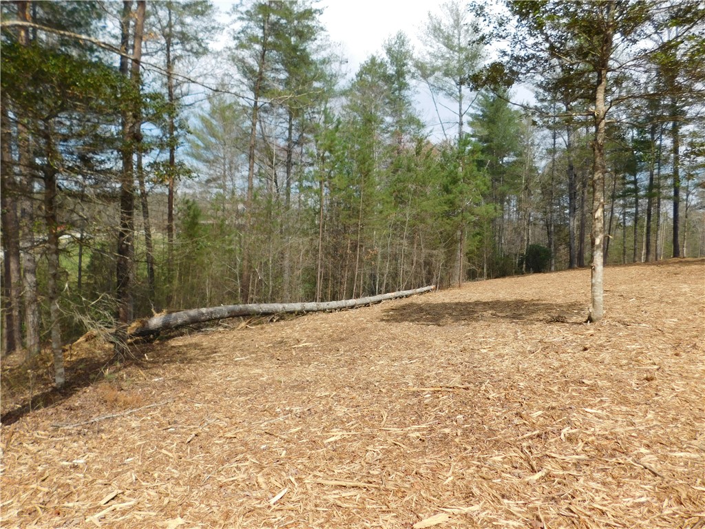 114 Horseback Trail Sunset, SC 29685 - Photo 2 of 11