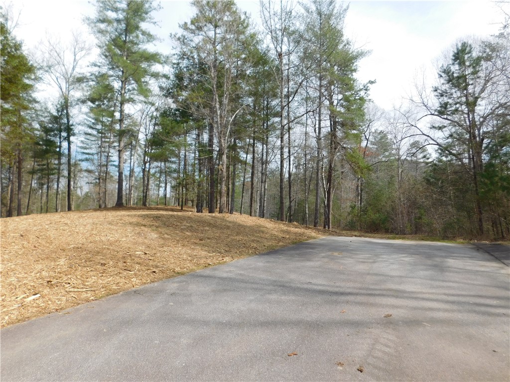 114 Horseback Trail Sunset, SC 29685 - Photo 3 of 11