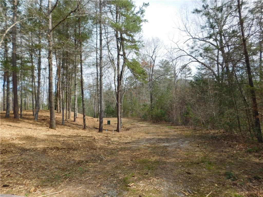 114 Horseback Trail Sunset, SC 29685 - Photo 4 of 11