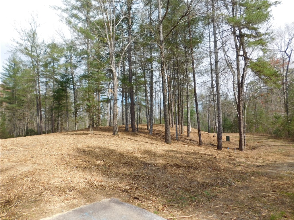 114 Horseback Trail Sunset, SC 29685 - Photo 5 of 11