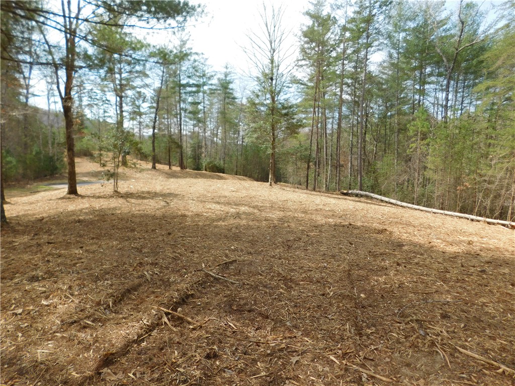 114 Horseback Trail Sunset, SC 29685 - Photo 6 of 11