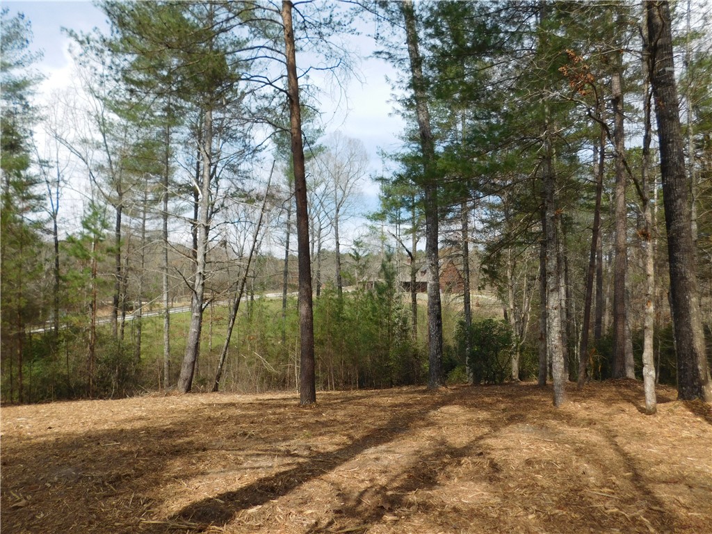 114 Horseback Trail Sunset, SC 29685 - Photo 7 of 11