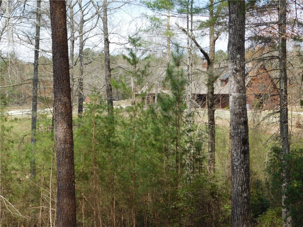 114 Horseback Trail Sunset, SC 29685 - Photo 8 of 11