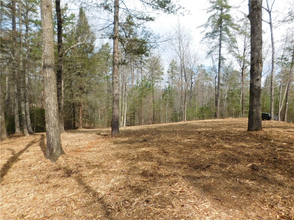 114 Horseback Trail Sunset, SC 29685 - Photo 9 of 11