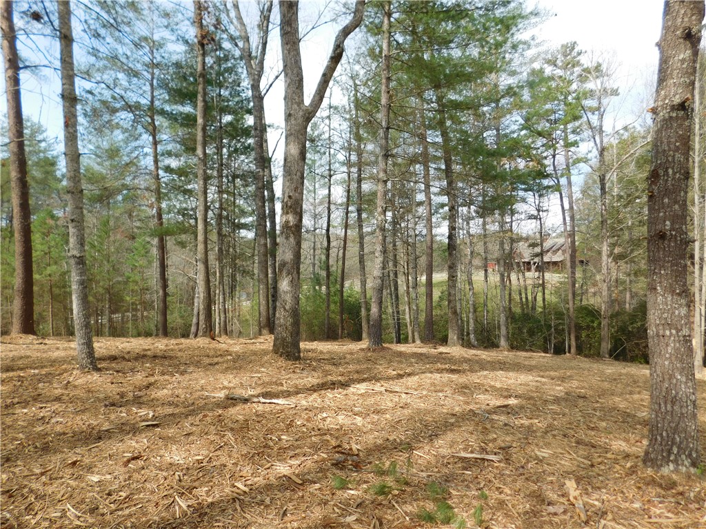 114 Horseback Trail Sunset, SC 29685 - Photo 10 of 11