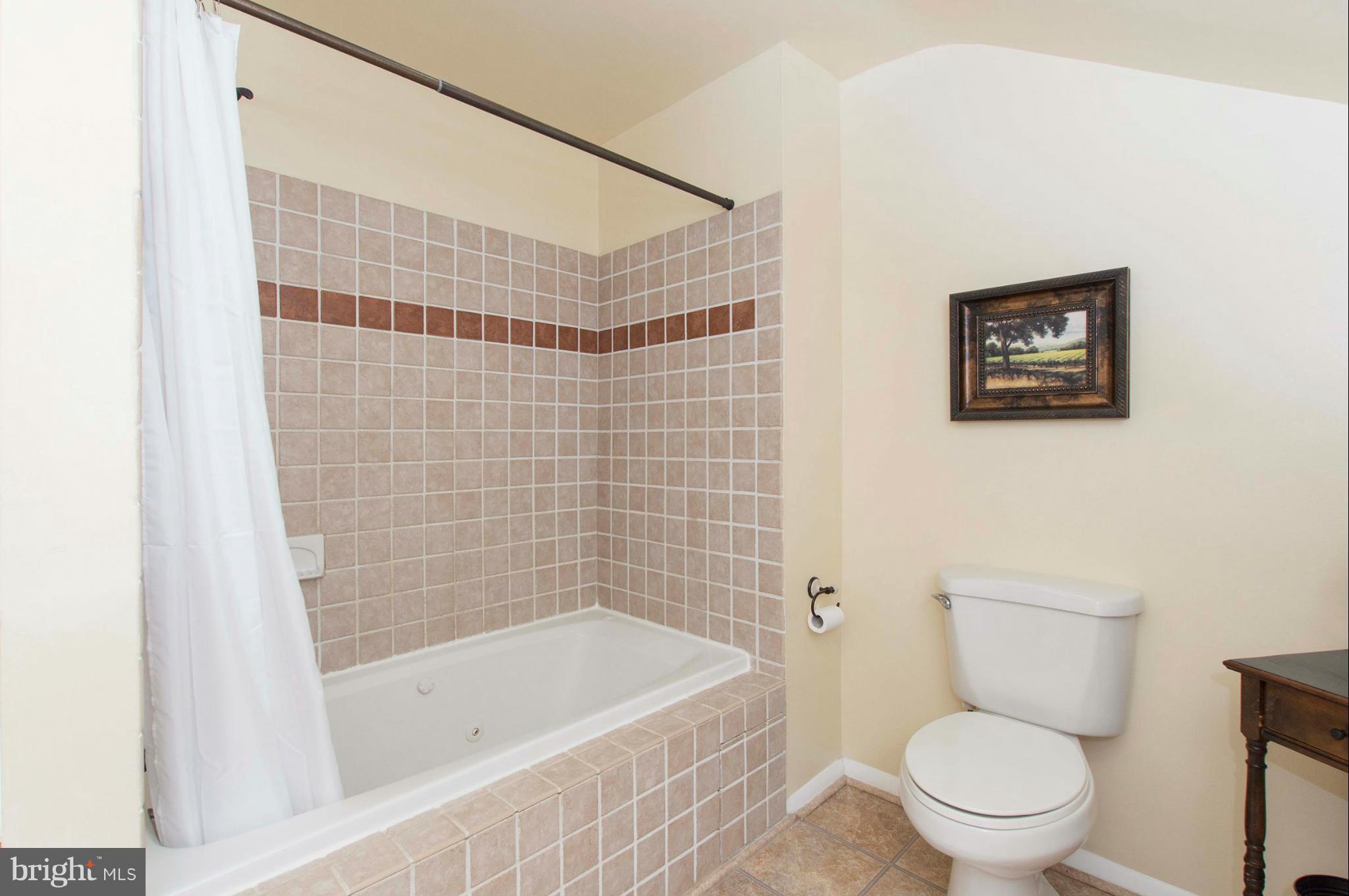 1414 Rock Ridge Road Jarrettsville, MD 21084 - Photo 17 of 30 Bath (Master)