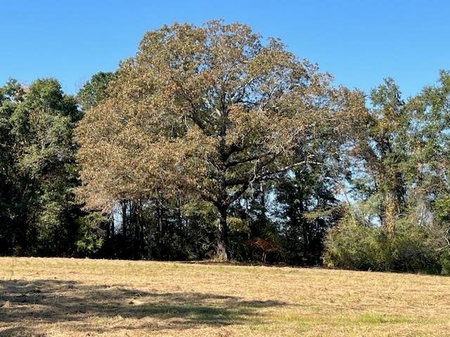 21.24-ac Union Grove Road Opp, AL 36467 - Photo 6 of 38 Gallery Image 6
