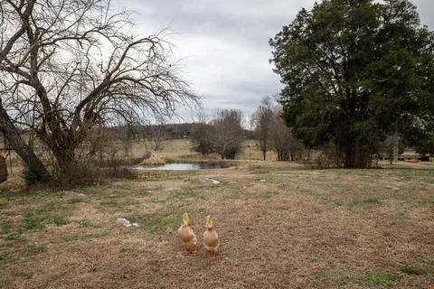 $889,000 | 95 Old 25 Loop, Castalian Springs, TN 37031