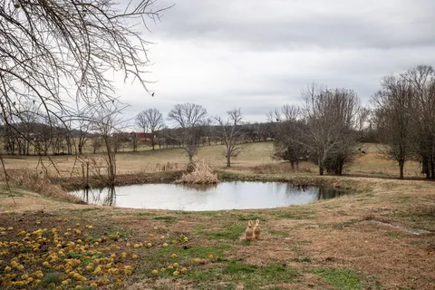 $889,000 | 95 Old 25 Loop, Castalian Springs, TN 37031