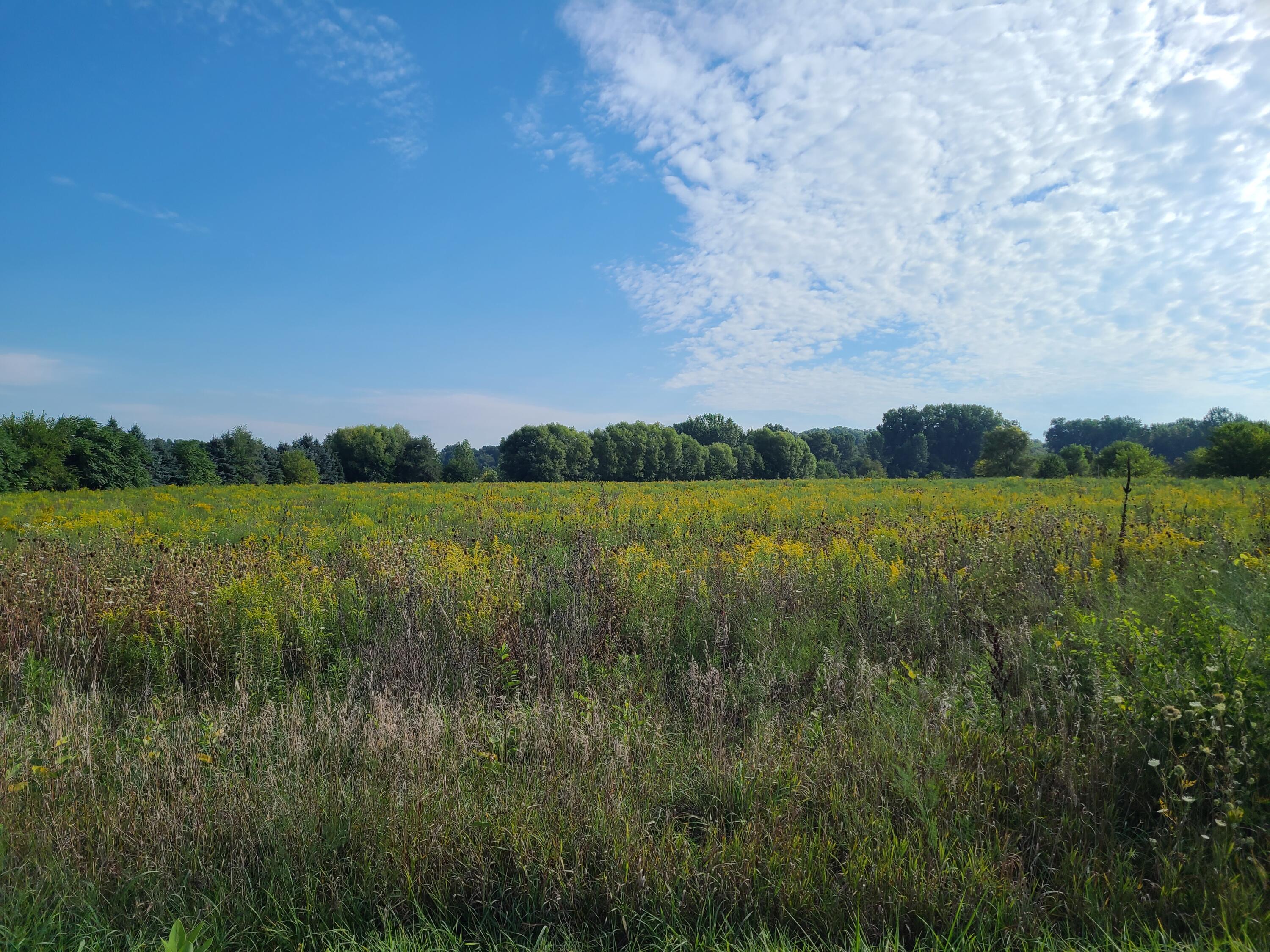 Hills Rd Road Baroda, MI 49101 - Photo 2 of 6 20220903_094528