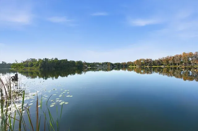 $849,900 | 17018 Crawley Road, Odessa, FL 33556