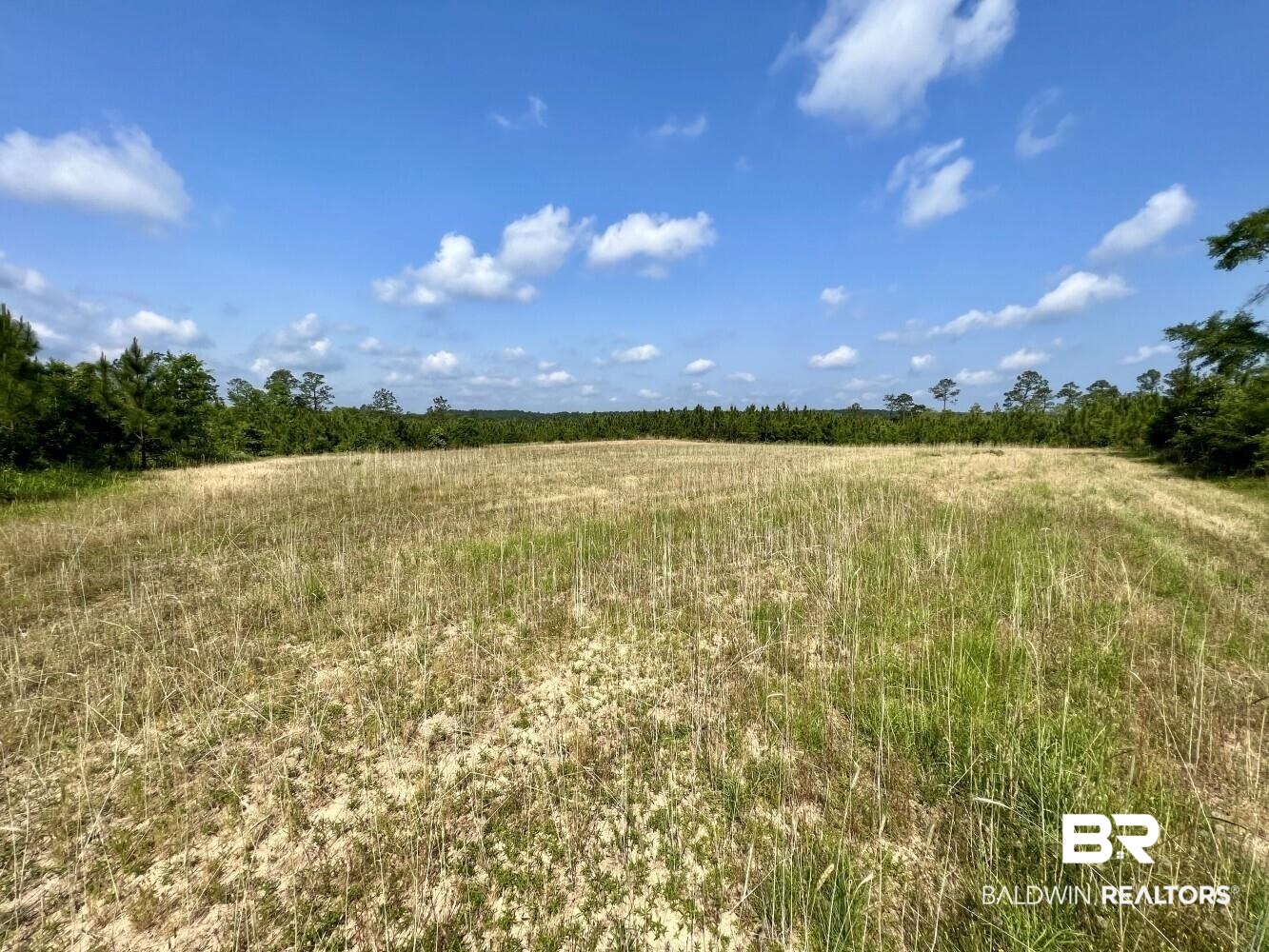 0 Private Road Citronelle, AL 36522 - Photo 14 of 27