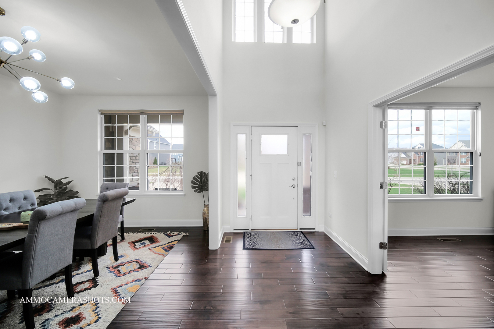 4308 Conifer Road Naperville, IL 60564 - Photo 5 of 43