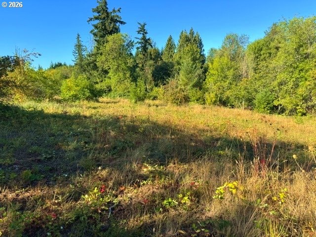 31601 Yoder Road Hubbard, OR 97032 - Photo 9 of 25 Gallery Image 9