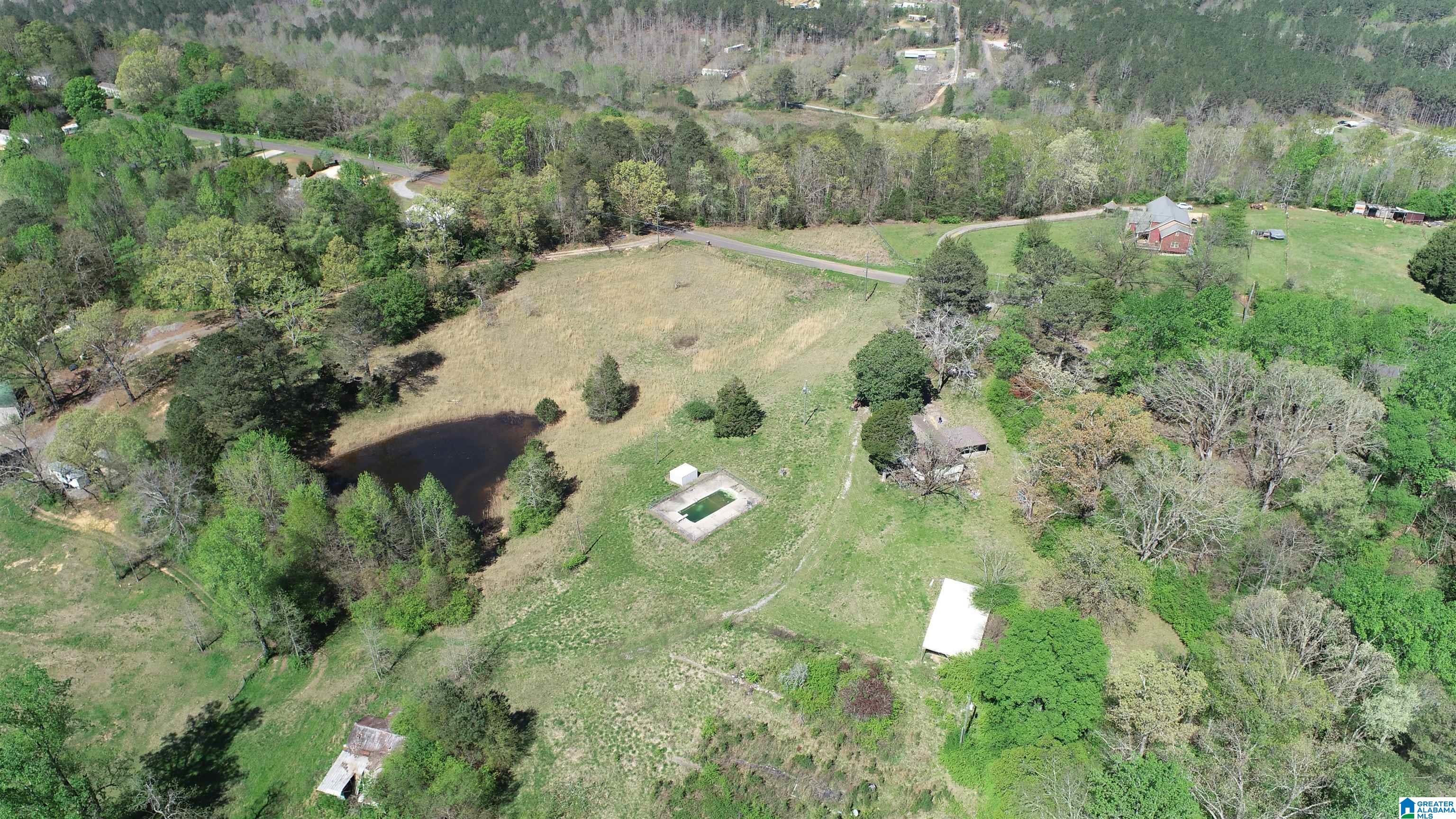 2590 Levine Road Odenville, AL 35120 - Photo 4 of 33
