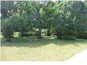 7775 Moe Road Middleville, MI 49333 - Photo 4 of 4 Additional Photo