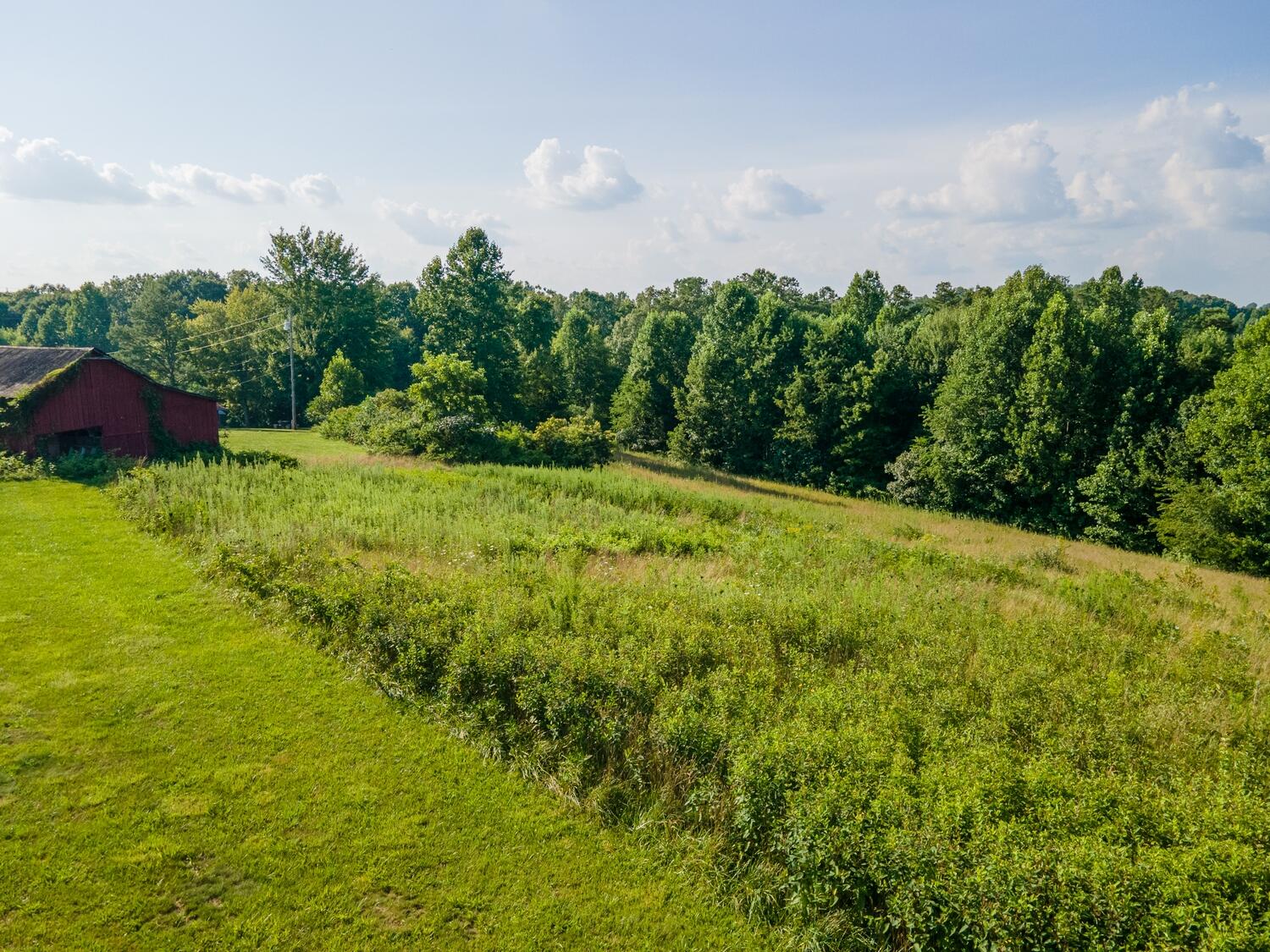 398 Rooks Branch Road Keavy, KY 40737 - Photo 21 of 35 Rooks12