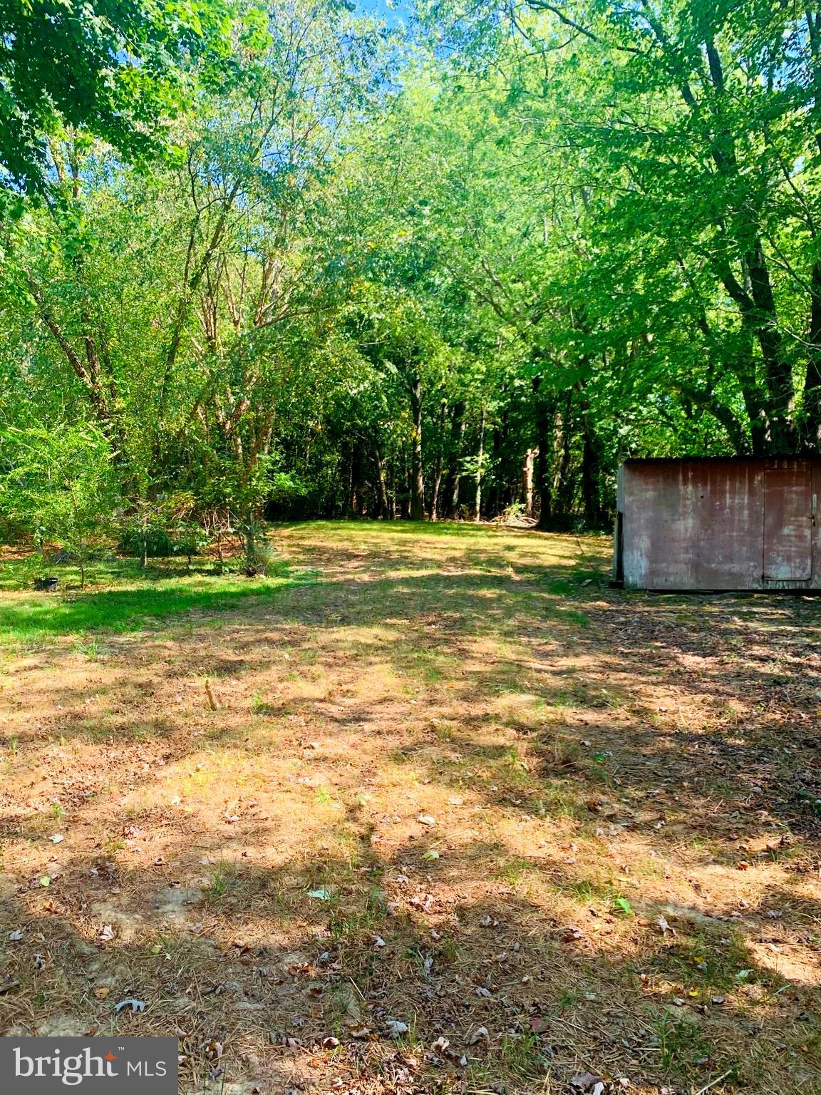 8645 Sewell Point Road Wittman, MD 21676 - Photo 6 of 22 Backyard