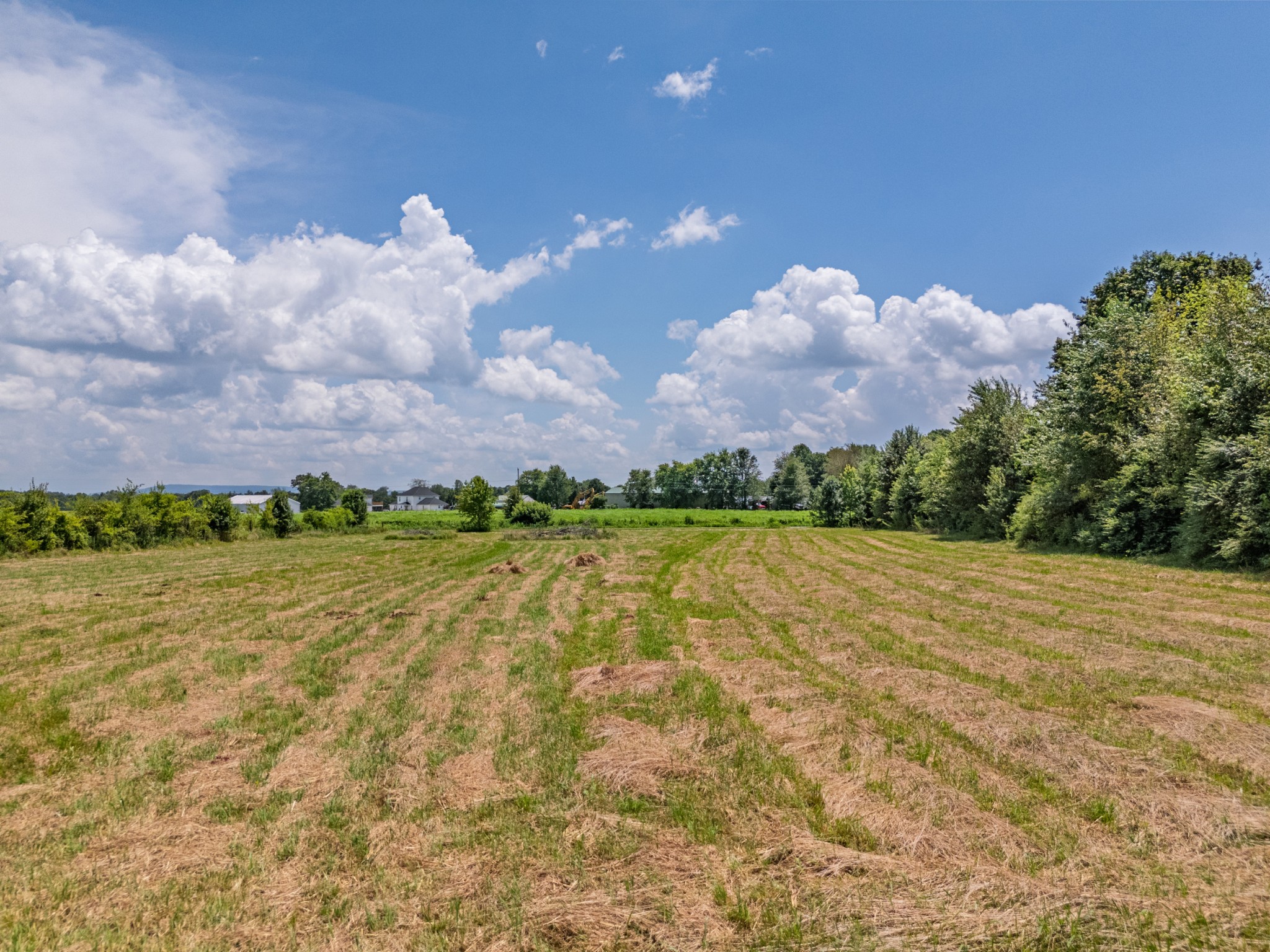 6 Snow Road Flintville, TN 37335 - Photo 12 of 15 a view of an outdoor space and yard