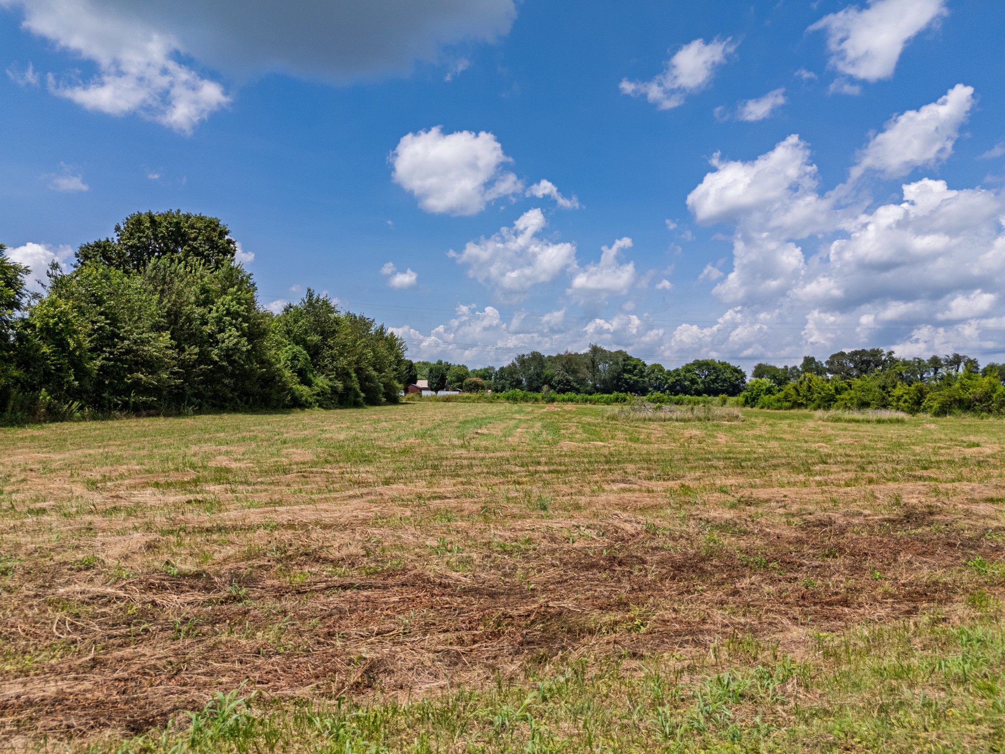6 Snow Road Flintville, TN 37335 - Photo 13 of 15 a view of a lake