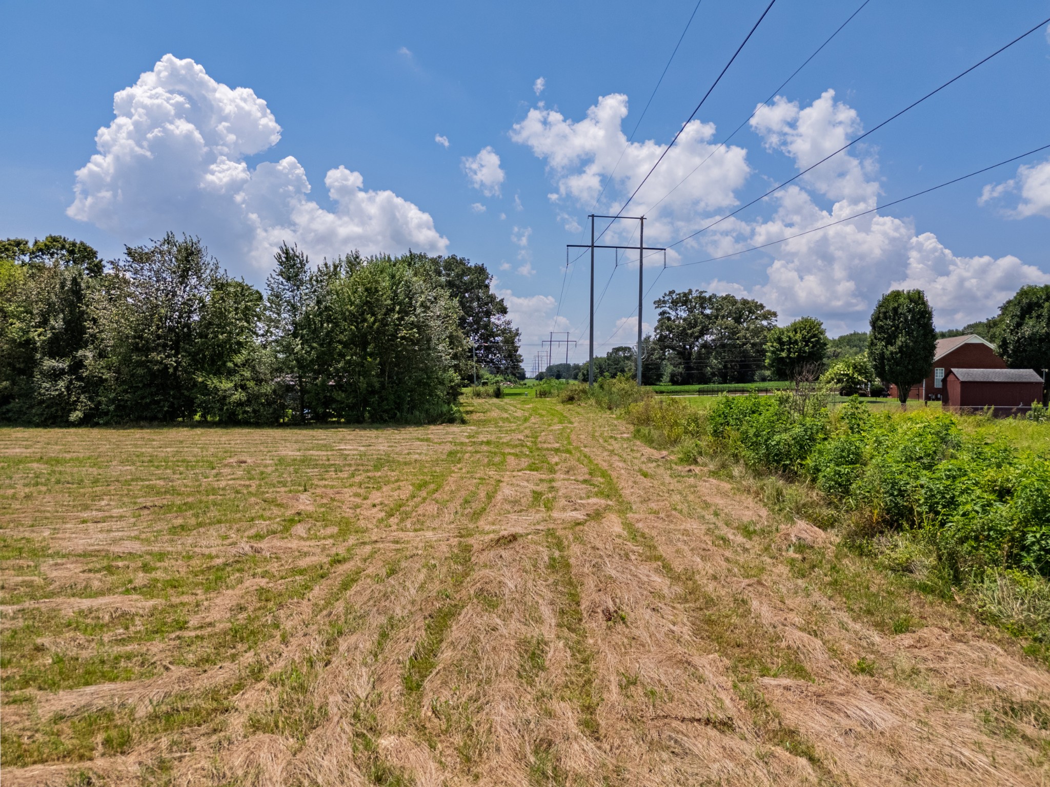 6 Snow Road Flintville, TN 37335 - Photo 10 of 15 a view of a flower in a yard