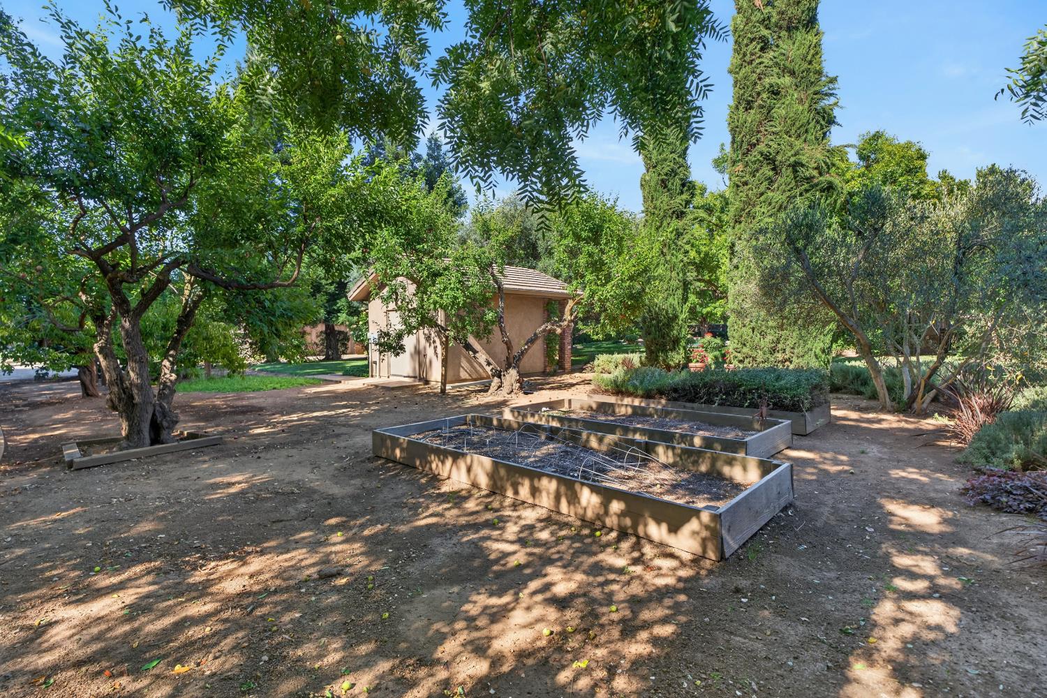 8595 Mackey Road Elk Grove, CA 95624 - Photo 63 of 80