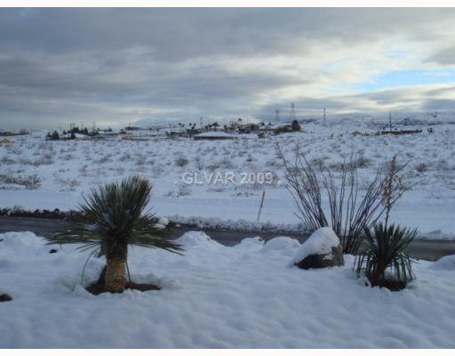 620 North Racetrack Road Henderson, NV 89015 - Photo 15 of 15 Property Photo. Front yard at christmas