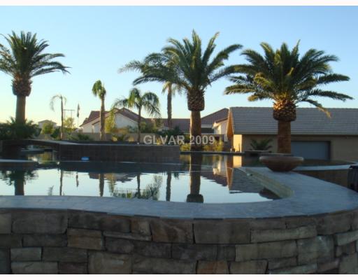 620 North Racetrack Road Henderson, NV 89015 - Photo 10 of 15 Swimming Pool/Hot Tub/Sauna.