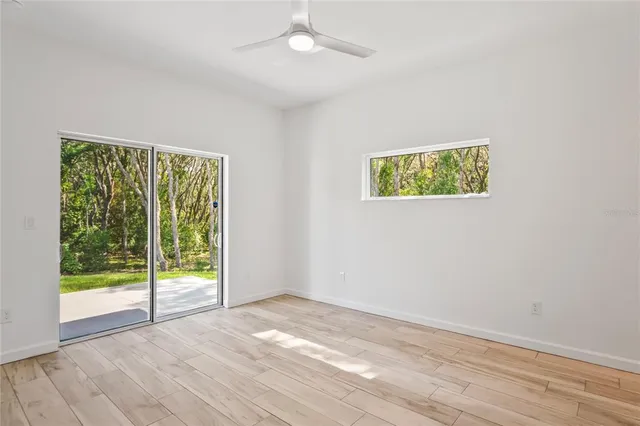 a view of a garden with large trees
