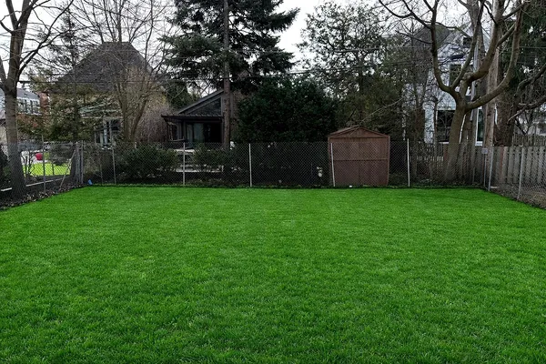 a view of a backyard with large trees and wooden fence