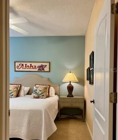 a view of a house with potted plants