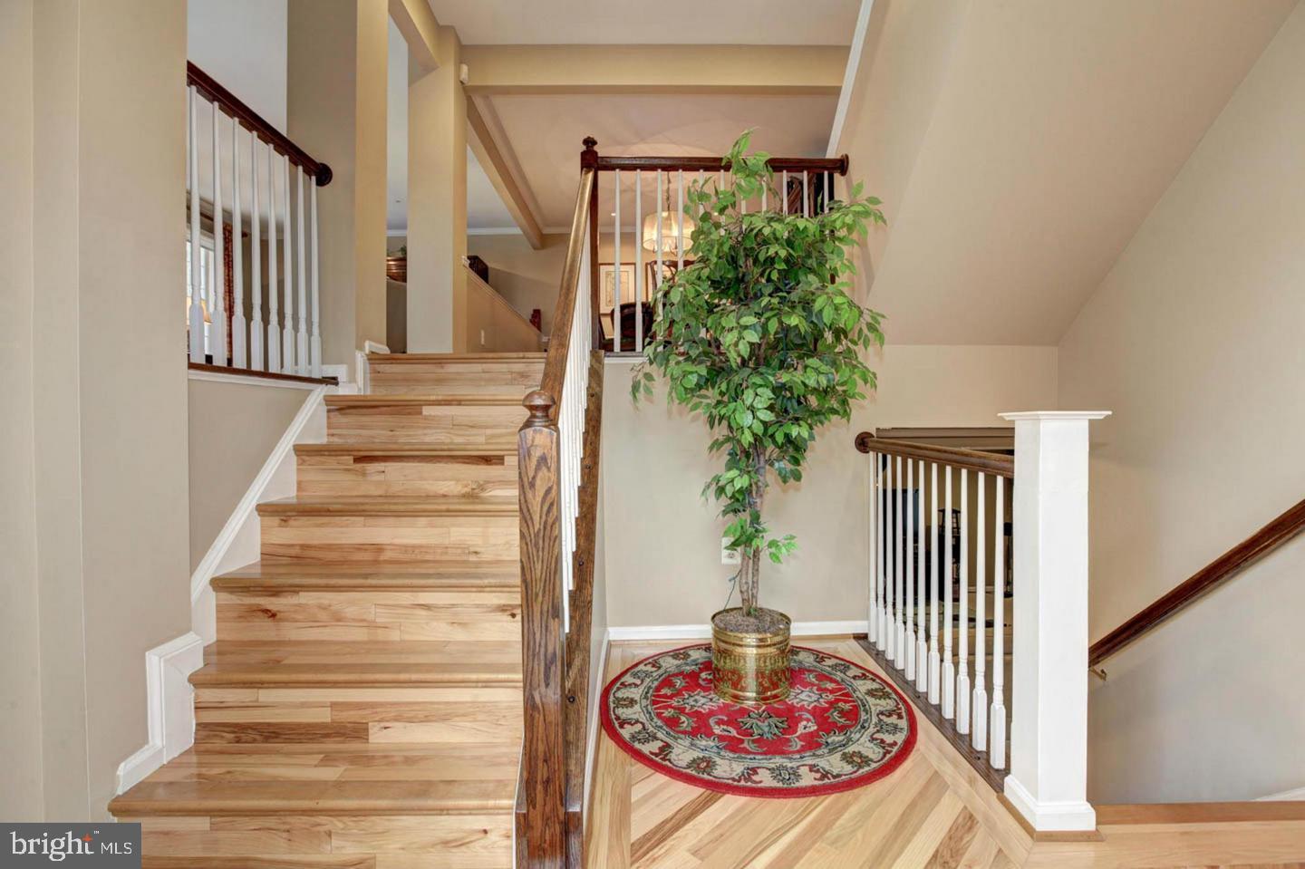12014 Saw Mill Court Silver Spring, MD 20902 - Photo 3 of 26